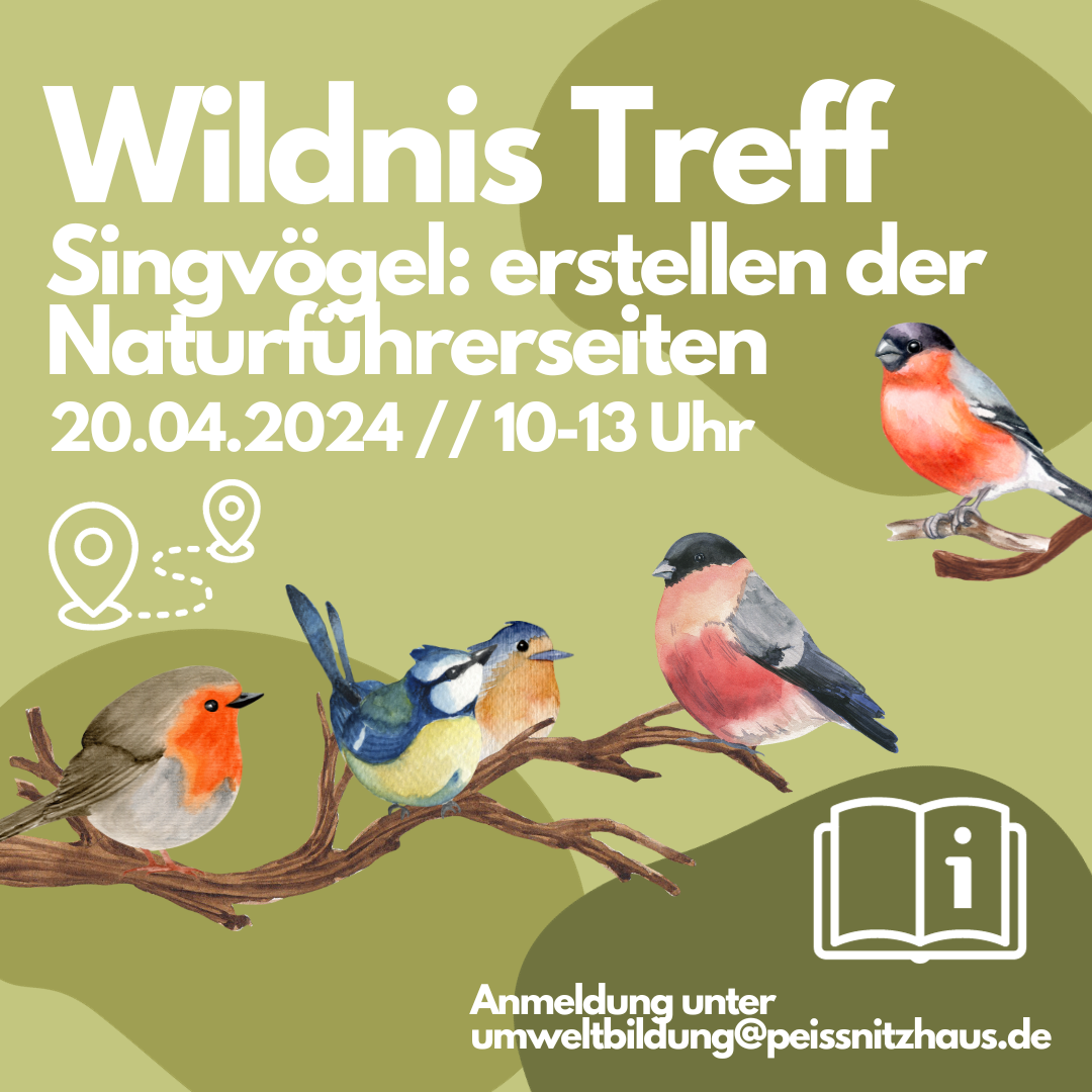 Singvögel_Naturführer.png