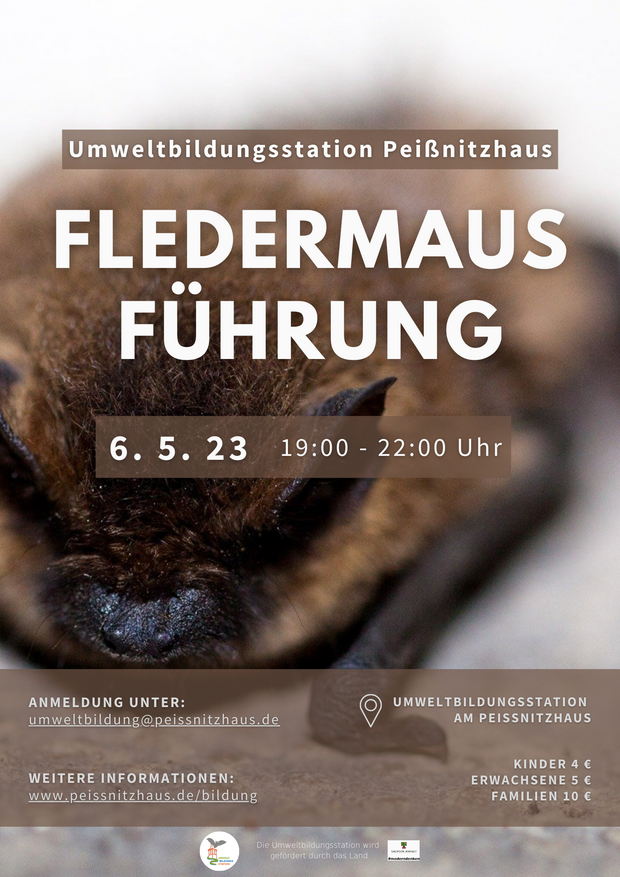 fledermaus poster 2023