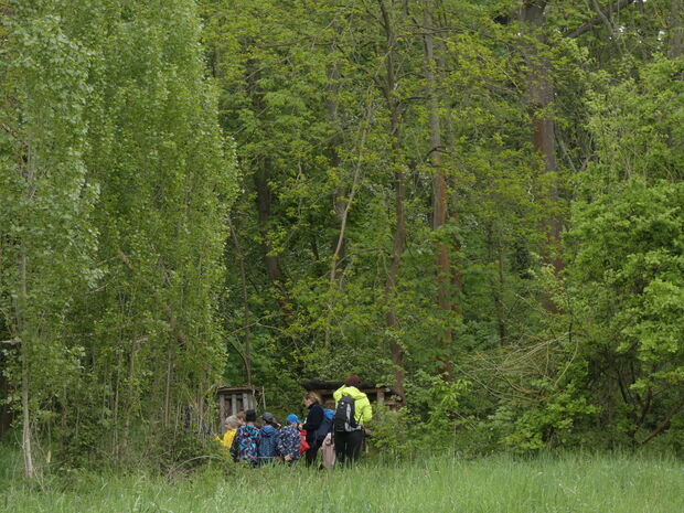 insektenhotel kindergruppe