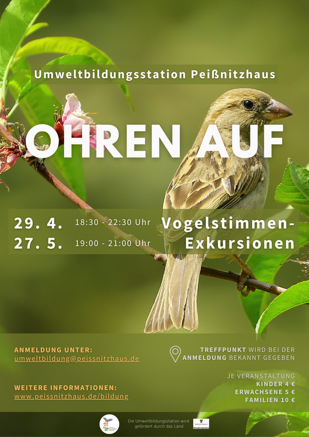 vogelstimmen poster 2023 vogelfoto