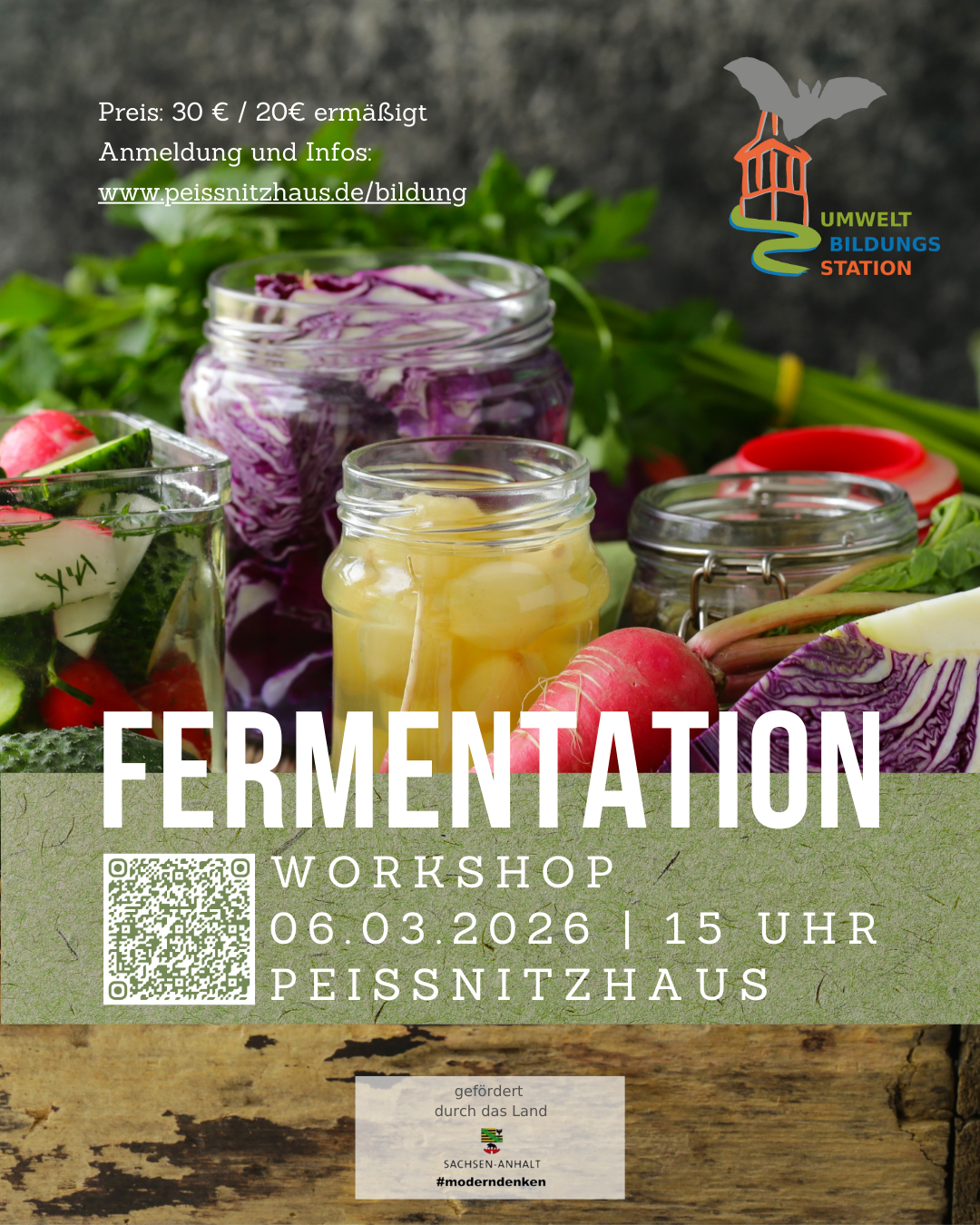 PlakatInsta Fermentationsworkshop 06 03 26