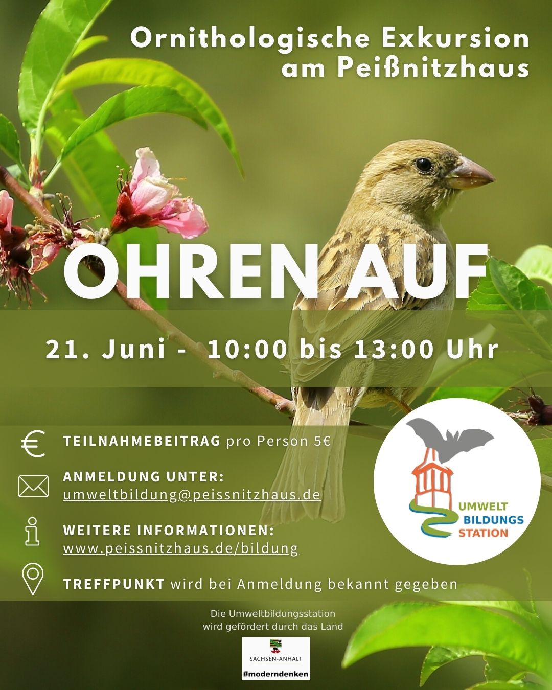 Insta ornithologischeExkursion 06 2025